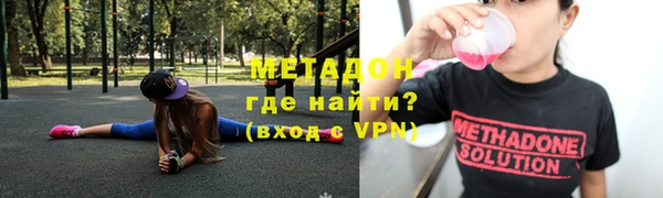 гидра Инта