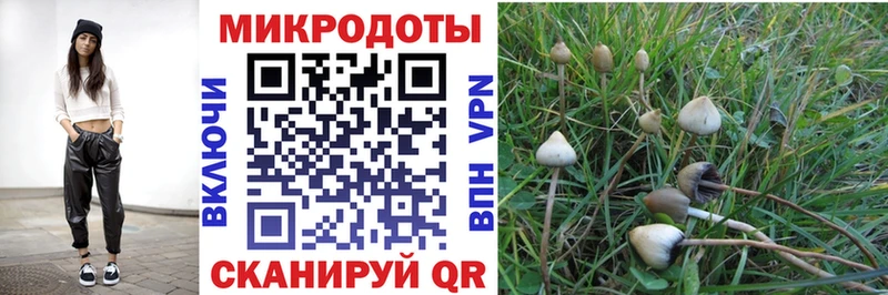 цены наркотик  Железноводск  Галлюциногенные грибы прущие грибы 